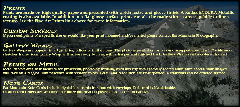 Description of prodects offered.